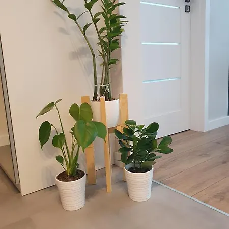 Vizzit Us Premium Marina Mokotow